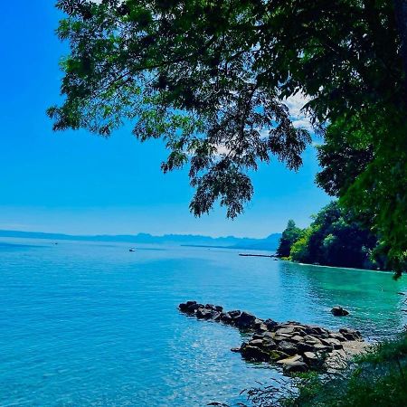 Appartement Le Leman Excénevex Zewnętrze zdjęcie