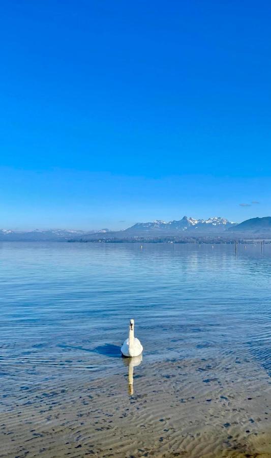 Appartement Le Leman Excénevex Zewnętrze zdjęcie